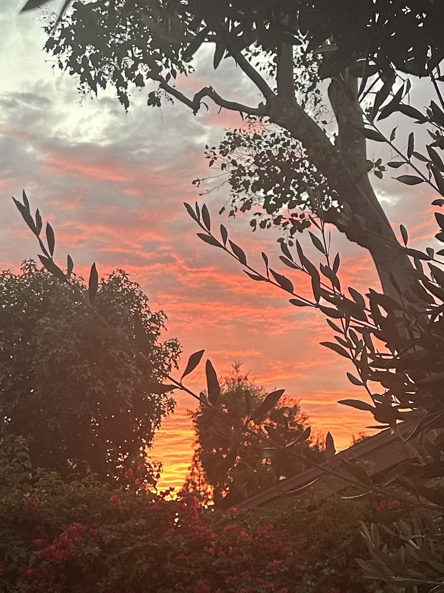 Weekend, I hardly knew ye.(Was writing the whole time.)

Good night!