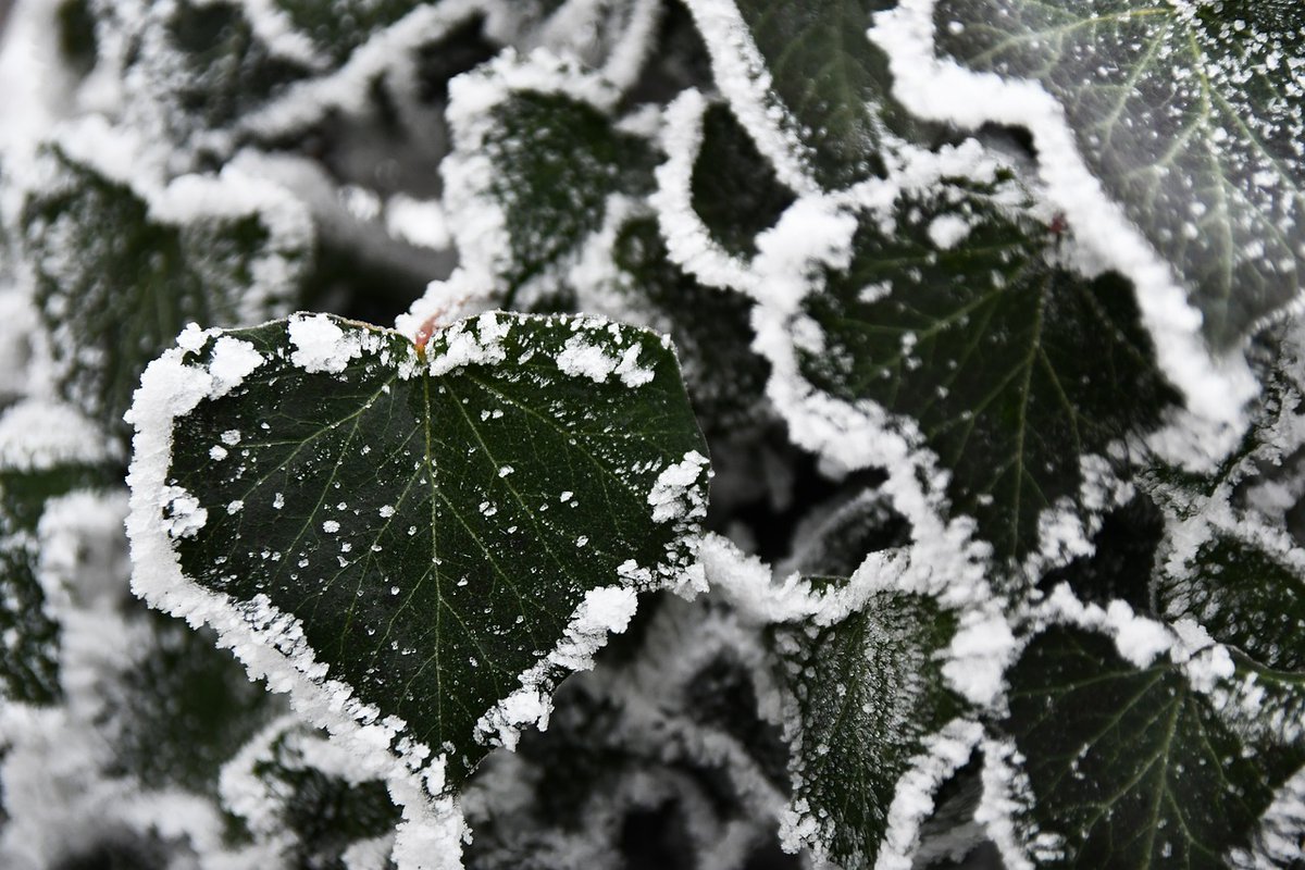 Chudai_jav_Ssbq's tweet image. I enjoy streaming podcasts during my commute or workout to stay informed and entertained with thought-provoking conversations.

#SmartSolutionsForGrowth