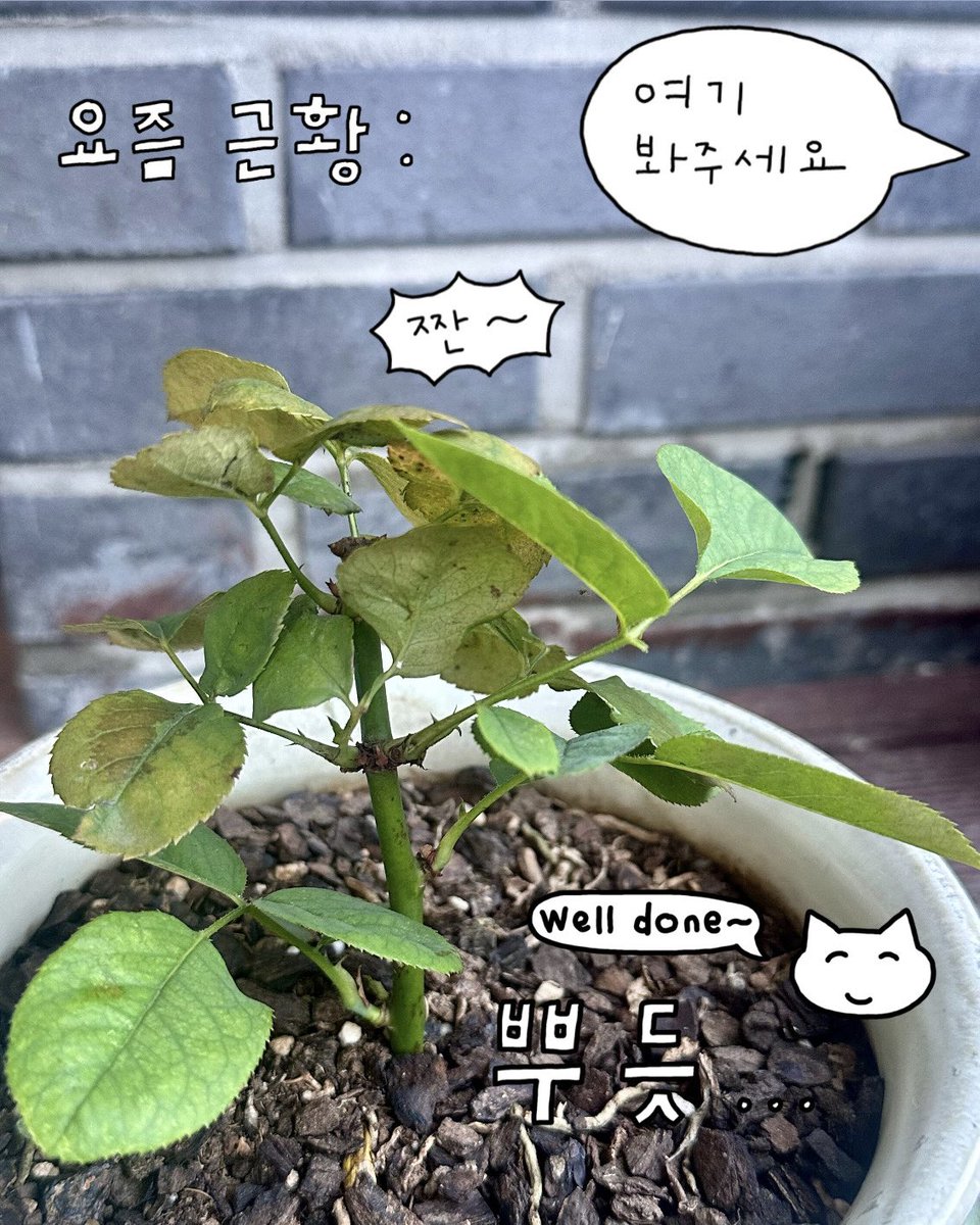 gyul_313 tweet picture