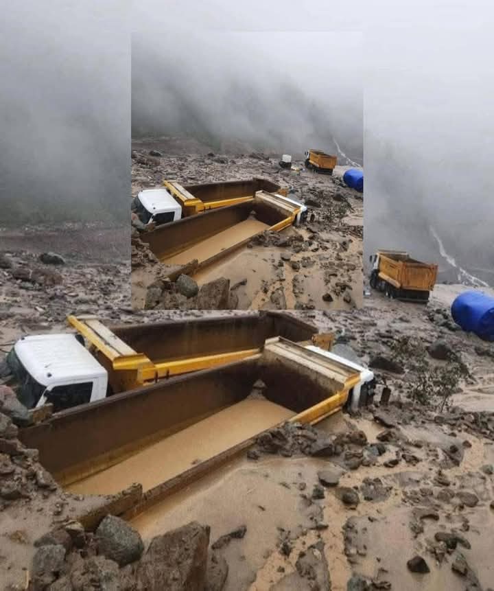 Siz her önünüze gelene maden ruhsatı vermeye devam edin. 

Karadeniz’in dağlarını, derelerini oydukça; o toprak sizi aynı çamura gömecek. Aldığınız her parça, burnunuzdan fitil fitil gelir. 

#geçmişolsunkaradeniz #DoğaİçinDurDe