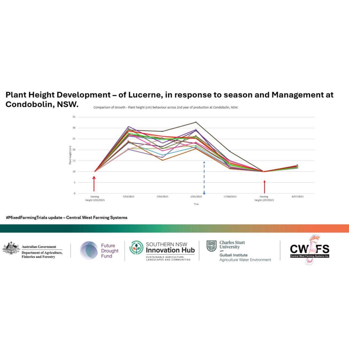 The value of local data to guide better lucerne management at Condobolin 🌱

It was great to see so many engaged producers and industry at the CWFS annual spring field day. Despite the rain keeping us off the plots, discussion flowed around how lucerne responds to climate and