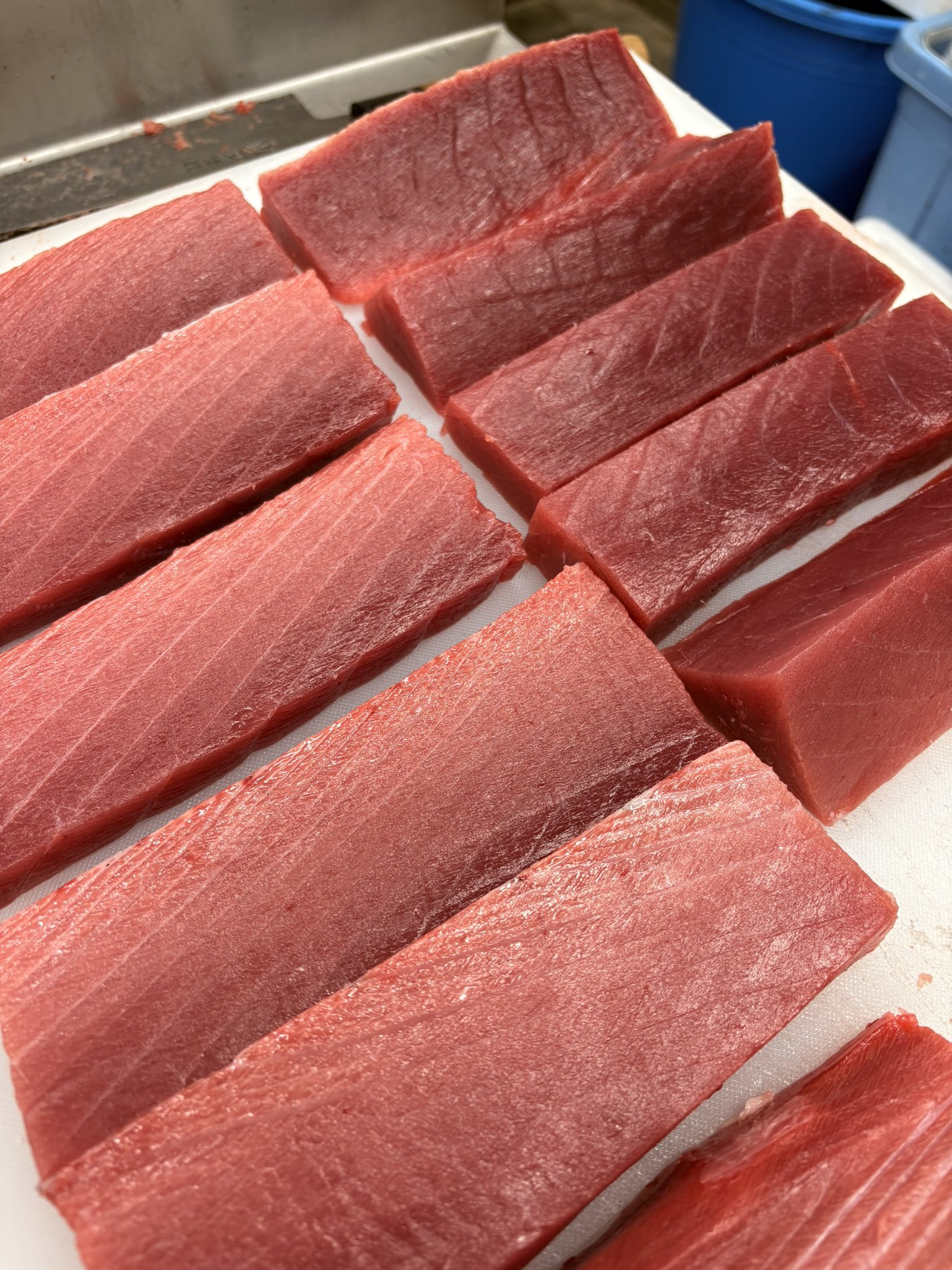 武蔵境おさかな家さん【北口店】 (@mosakanakita) / X