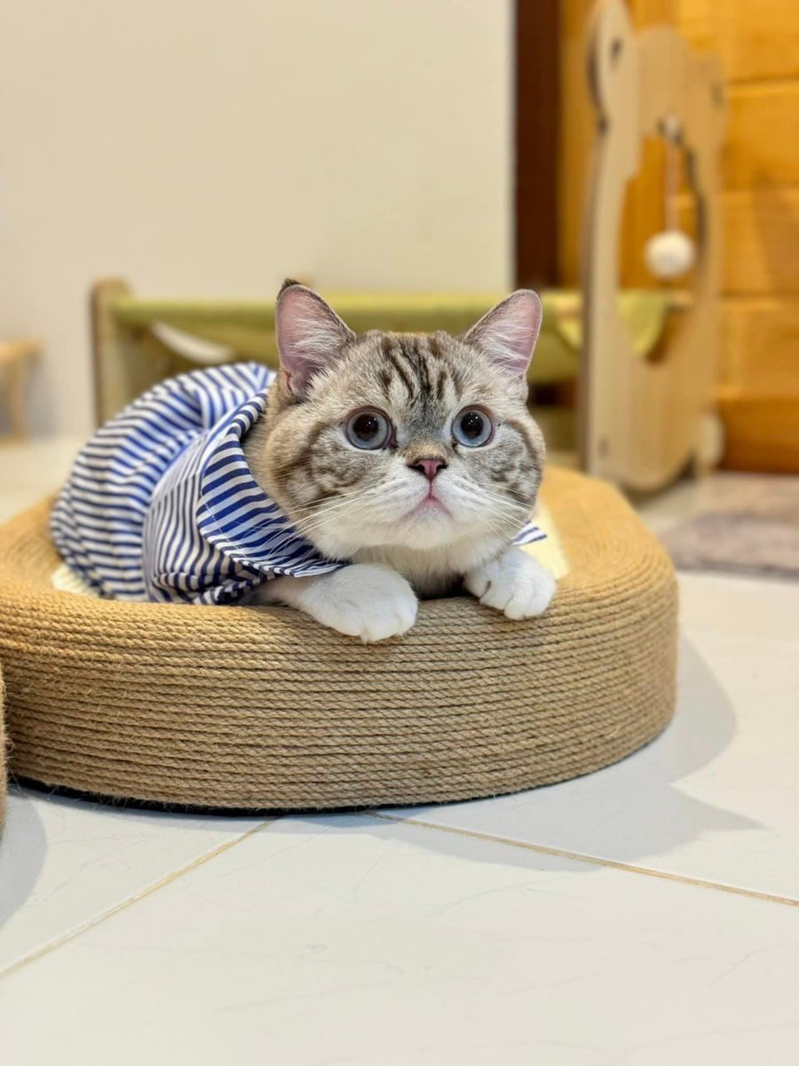 บ้านเรามีแมวนะ มาดูแมวที่บ้านเรามั้ย
 #โสดจีบได้# 
สกลนัดเจอ#