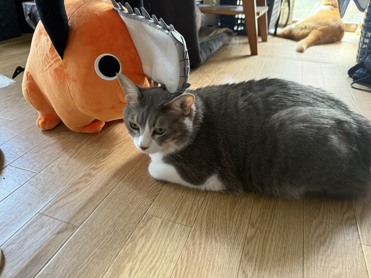 狸猫さま 江戸木目人形 招き猫 ちりめん友禅 赤 – 47 TREASURE