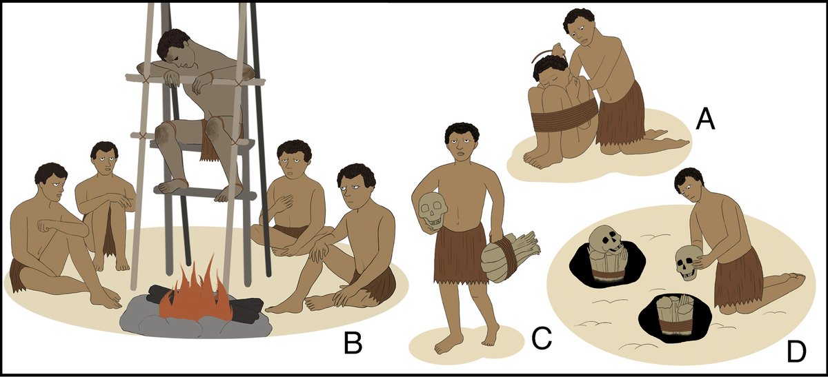 Archaeologists have uncovered the earliest evidence of human mummification — smoke-dried burials from 12,000 years ago in Southeast Asia. Before Egypt and Chile! #southeastasianarchaeology

bit.ly/3IyifMg