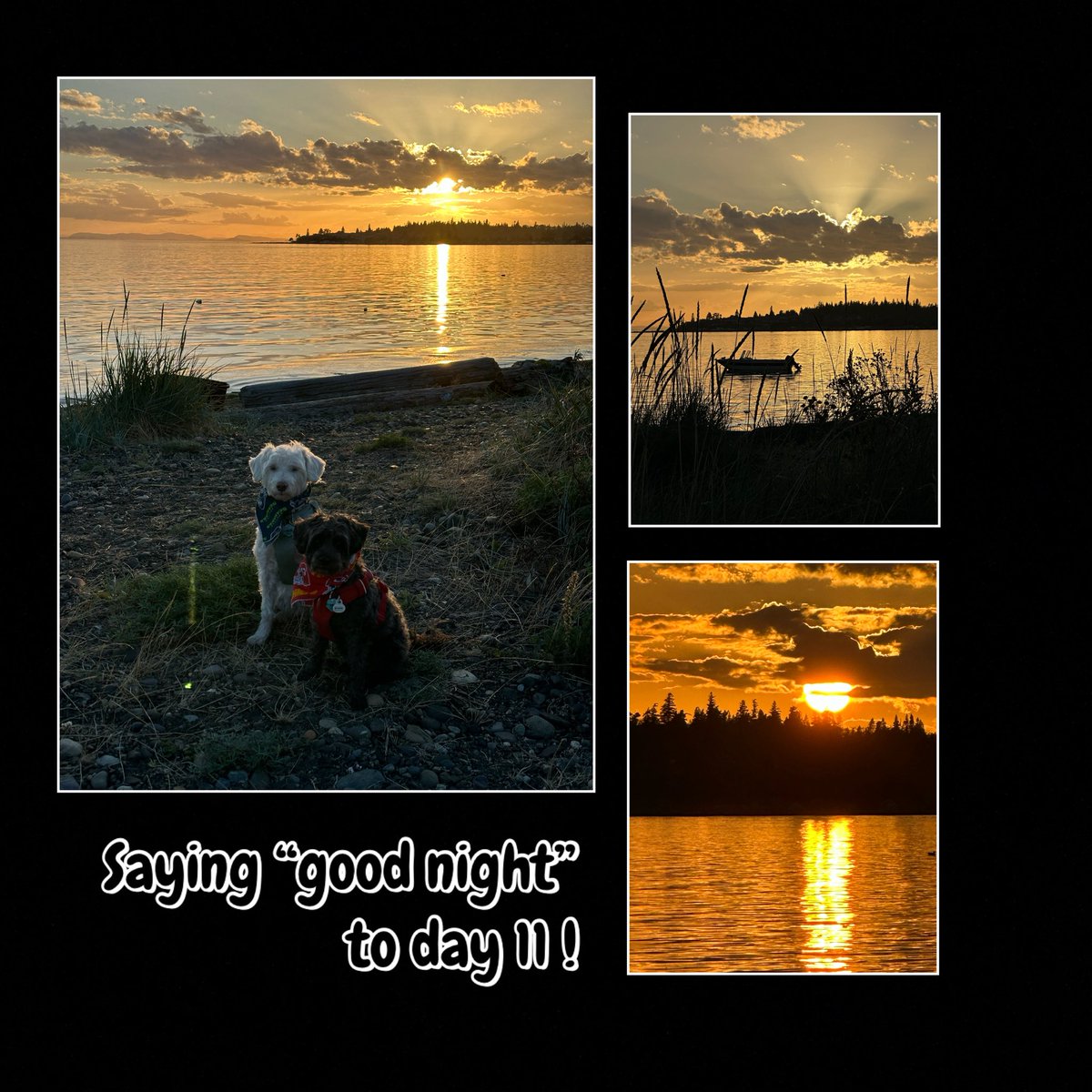🚙Zee Girls’ 🇨🇦 Adventure
Day 11, Sunset

Birch Bay, Washington, USA

Back on the Pacific coast for sunsets!

This trip has gone way too fast! At least we know we will have all of you with us at home, too❤️

❤️Zip, Zoë &amp; Mom