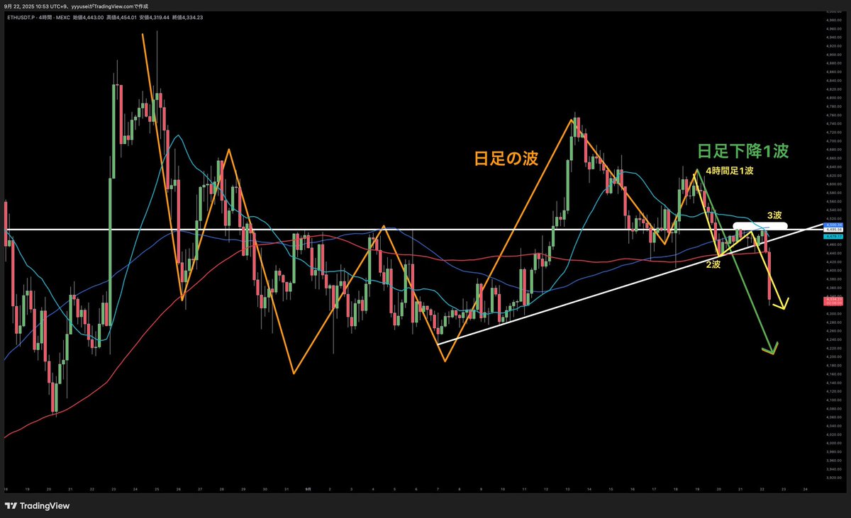 🦁百獣の王 ユーセー🦁 tweet media