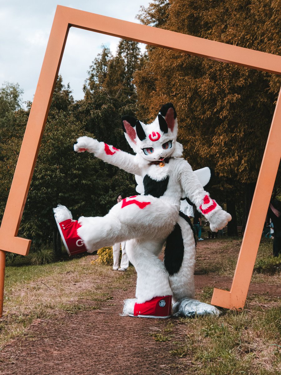 🤍🖤♥️
당당하게 걷기!
♥️🖤🤍

📸<a href="/mano_4171/">Mano</a> 

#Fursuit