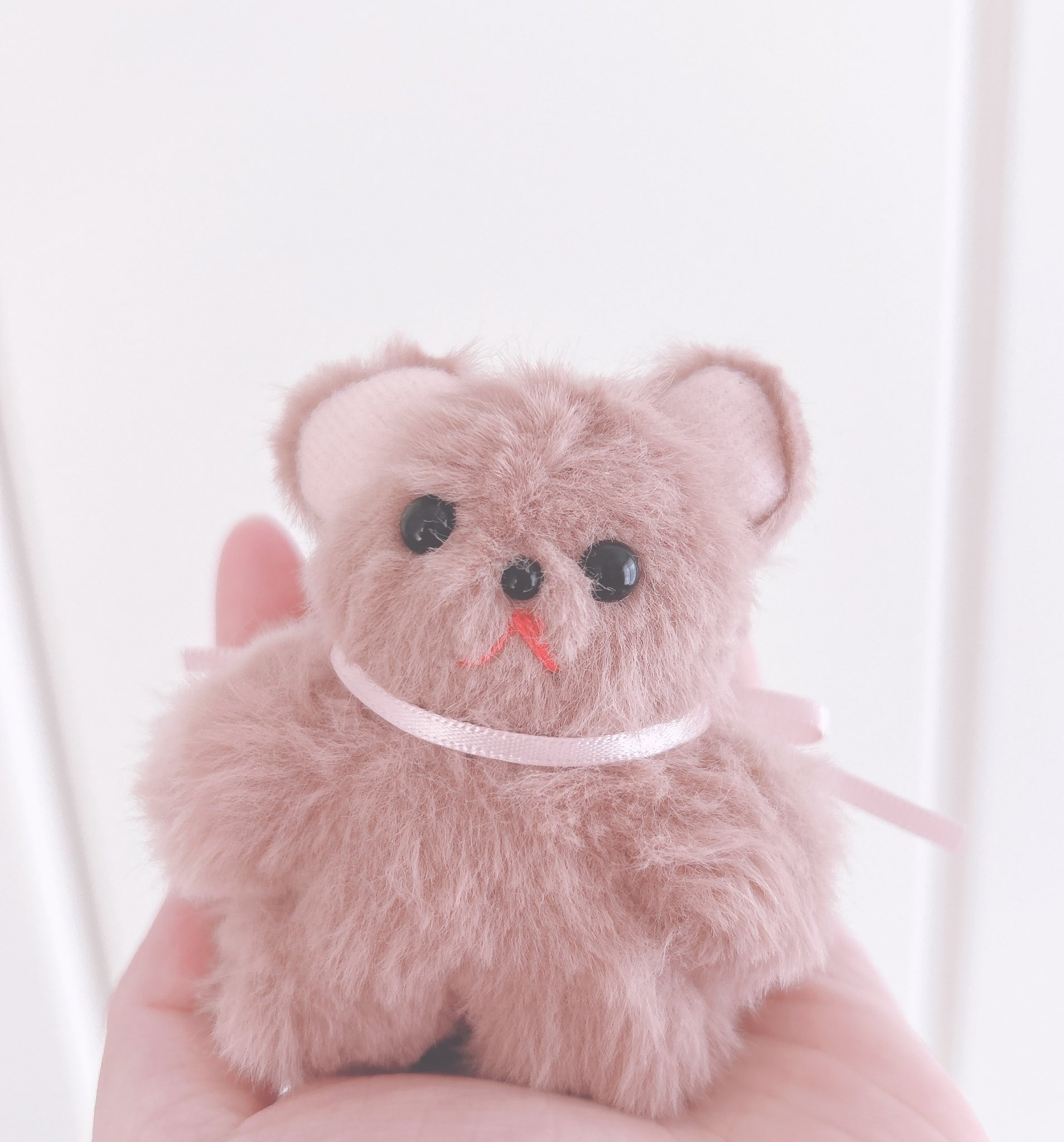 リンゴのチビくまちゃん♡ 🎍お正月オフショット📸 ② 白へびさんとみかんたまちゃん