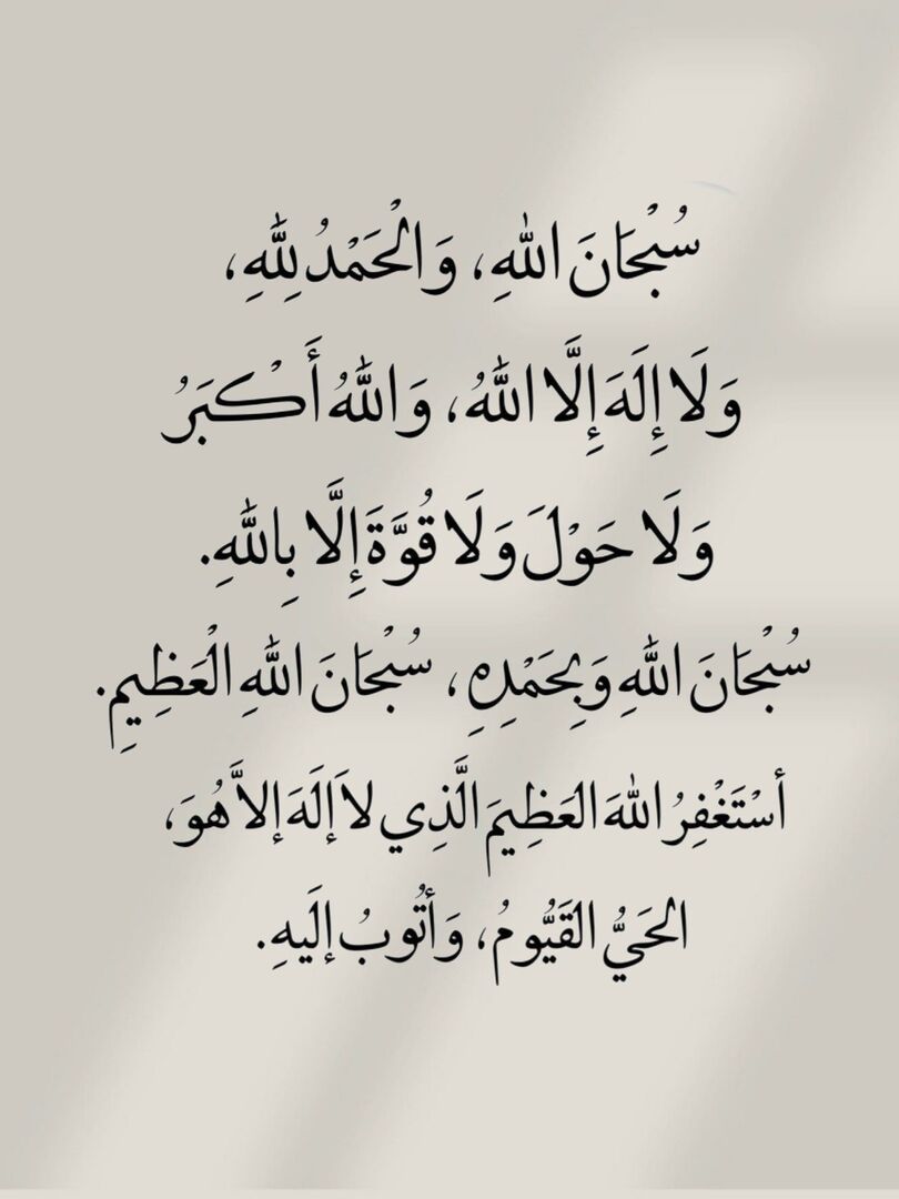 Condor One🦅 tweet media