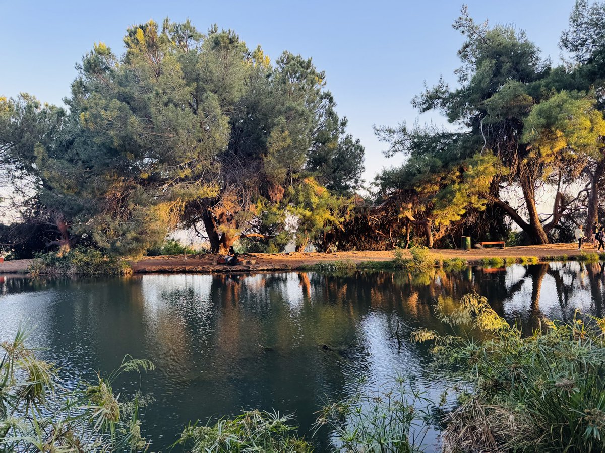 Gregory Cornfield 🌽 tweet media