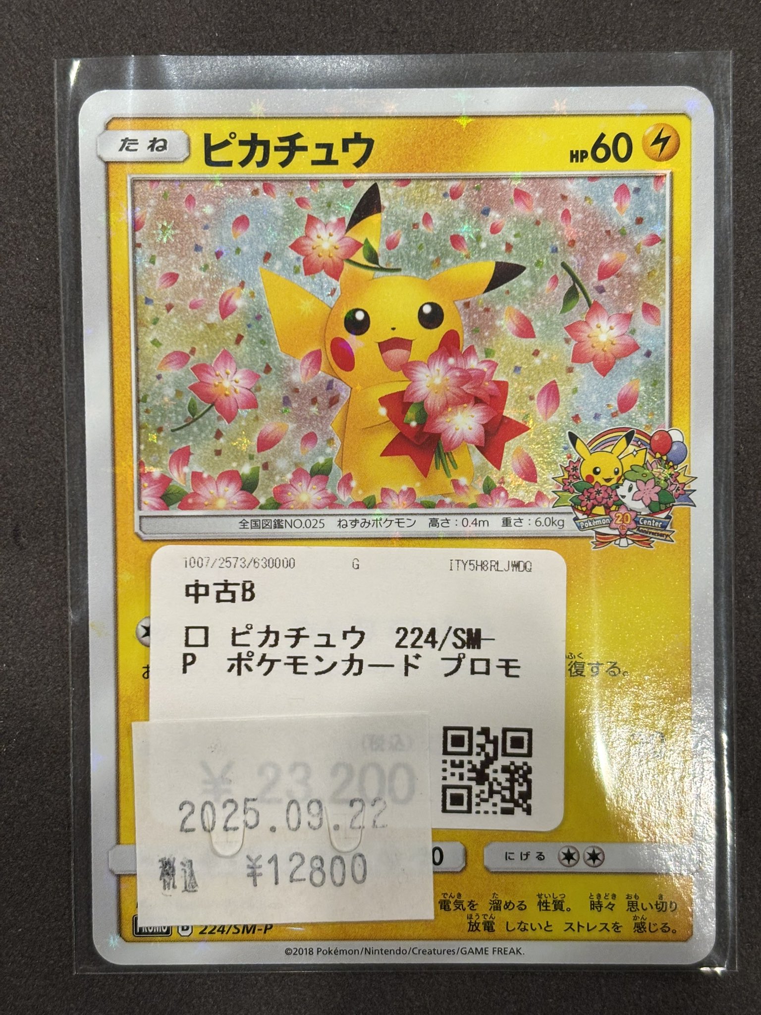 ポケモンカード　144枚　まとめ売り　光物 カードショップコレクト イオン旭川春光店 on X: 