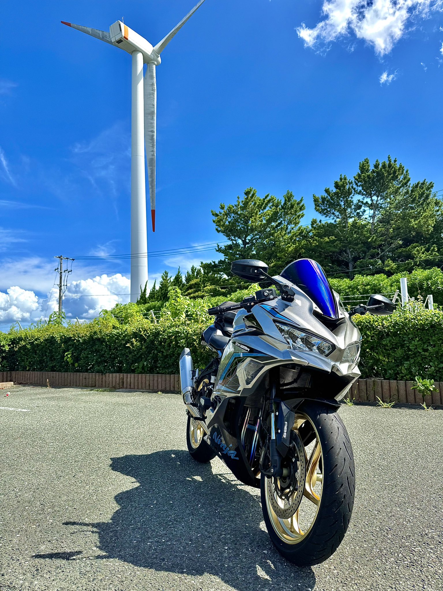 s*n様 チーター 残響 青　#172 てぃー on X: 