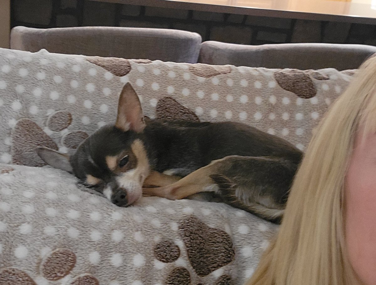 Roscoe Blaze (🌈 &Angel Bentley Kyron, too!🌈) tweet media