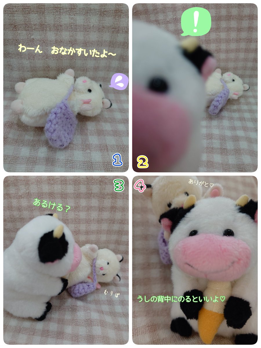 いつもやさしいうしさん🐮🌿
甘え上手なはむたろ🐹♡