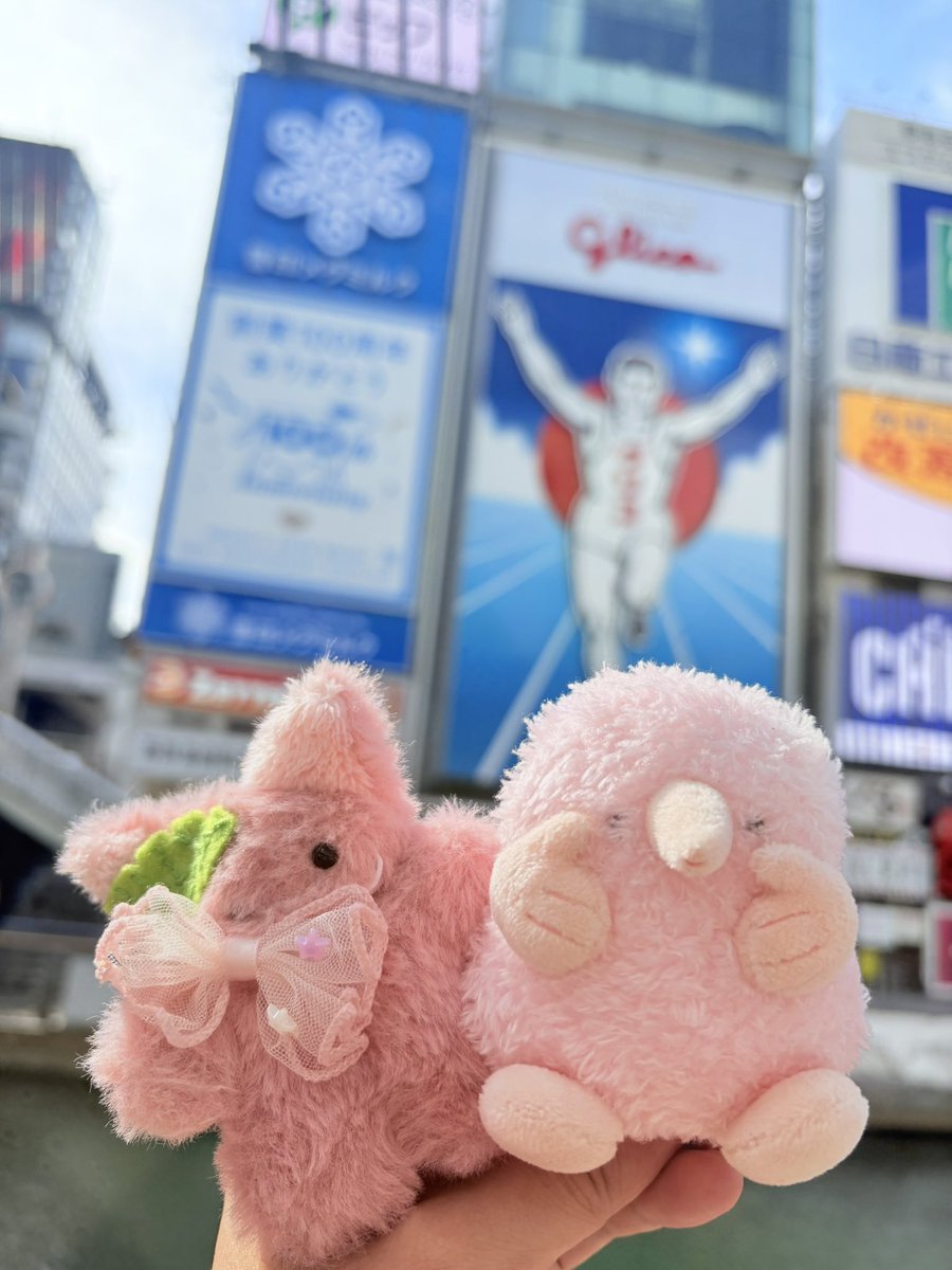 ｸﾞﾘｺｯ!!