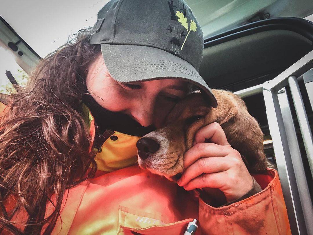 C'est que de l'amour !!!

#ChienDeChasse #ChienDeVie #VieDeChienDeChasse #ChassePartage #Chasse #Passion