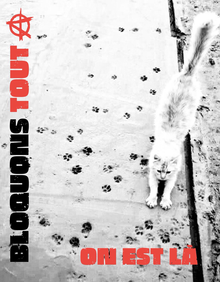 Bonjour les ami.e.s

#BloquonsTout On est là 😘✊🐈‍⬛🏴
#IndignonsNous #10septembre