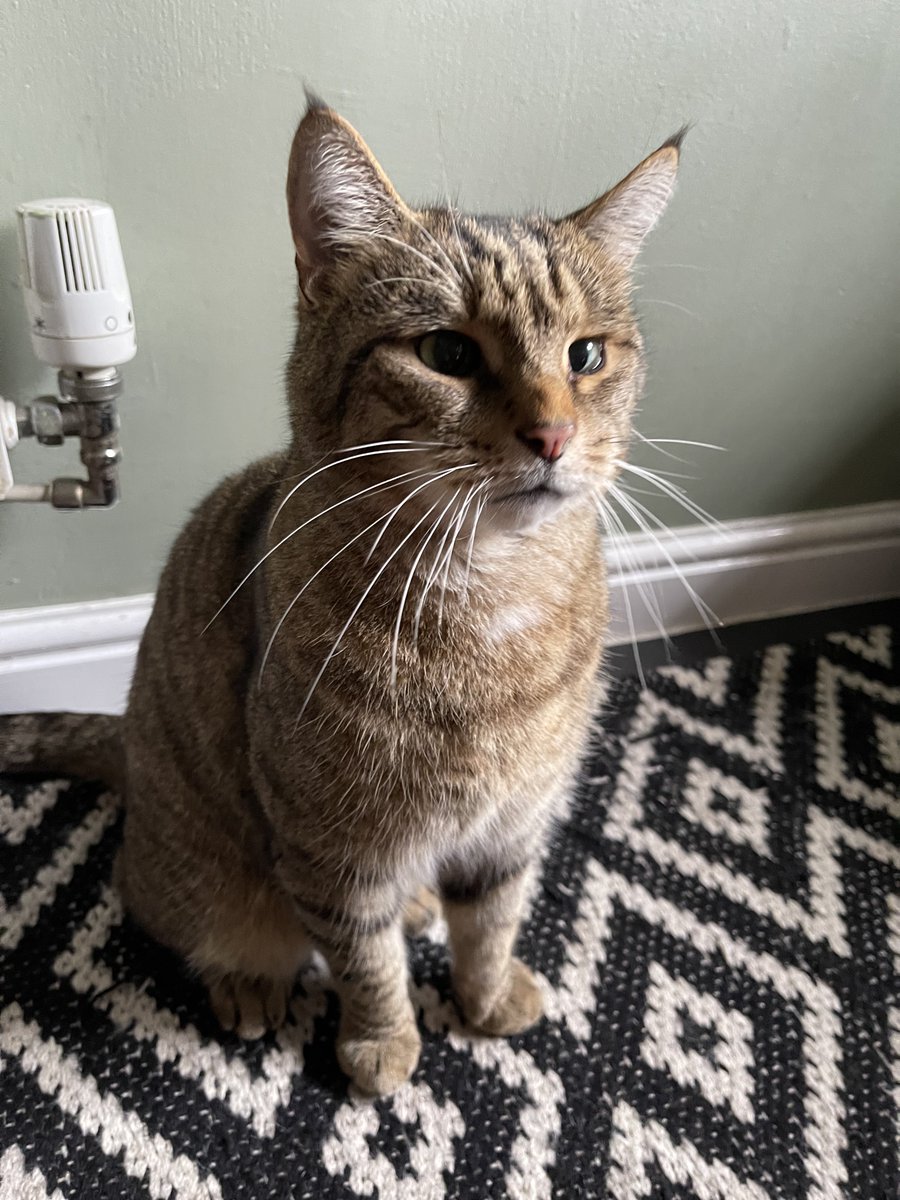 Kalvin™ tweet media