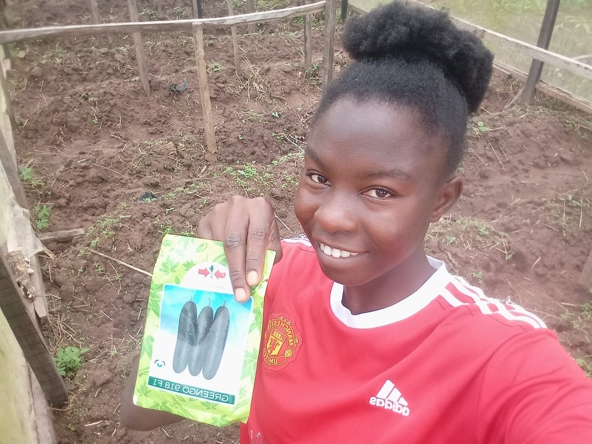 blessing_o46715's tweet image. Still planting.
The weather is favourable here and only right.

#Cucumber #Agriculture