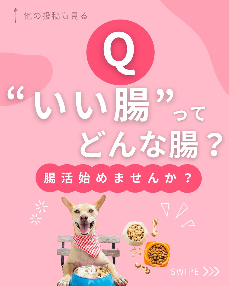 PetPilala's tweet photo. ＼腸を整えると、愛犬の免疫もアップする！？🧫🐶／

「腸」は、免疫力・代謝・毛並みにまで関係する超重要な器官✨
善玉菌2：悪玉菌1：日和見菌7＝「いい腸」の黄金比！

✅ 腸にやさしい食事習慣
✅ ホットヨーグルトは少量＆正しく

腸活、始めてみませんか？🐾 https://t.co/2hgxg2Phzy