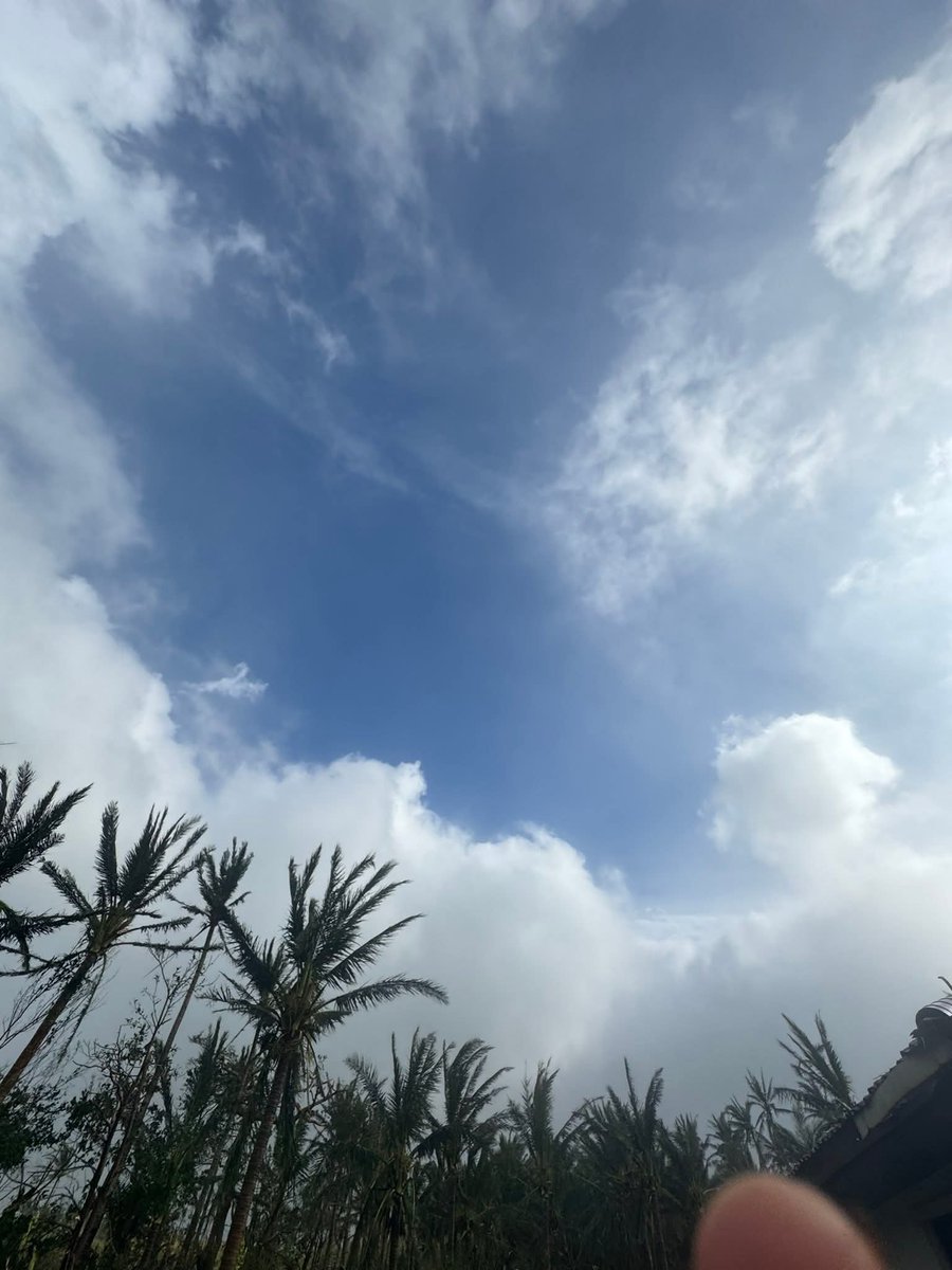 cofrancisg's tweet photo. This is what it looks like when you survive the first half. You get this weird, false peace. You walk out into the daylight and see your world turned upside down. Your roof is in the yard, the trees are naked, and it's all about to start again from the other direction. #Ragasa https://t.co/Y38DQCIrki