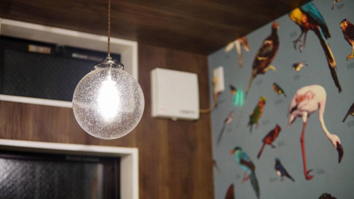 『1/f』新しいお取扱店のご紹介。

alma books and coffeeさん
（東京・鵜の木）

instagram.com/almabooksandco…

映画と音楽と書籍、それに関わるカルチャーとZineなど。ミニシアター系の音楽についての書籍が中心です。

最新号・vol.11をお届けしました。

ぜひお出かけください。