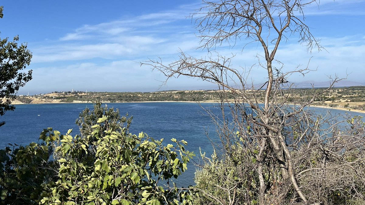The French fought at Gallipoli too. Suffered greater losses than the Australians. 600 plus sailors died in minutes when the Bouvet was sunk 18/3/15. Had some of the most difficult terrain to fight over and subject to direct fire from the Asian side of the Dardanelles. Remembered.