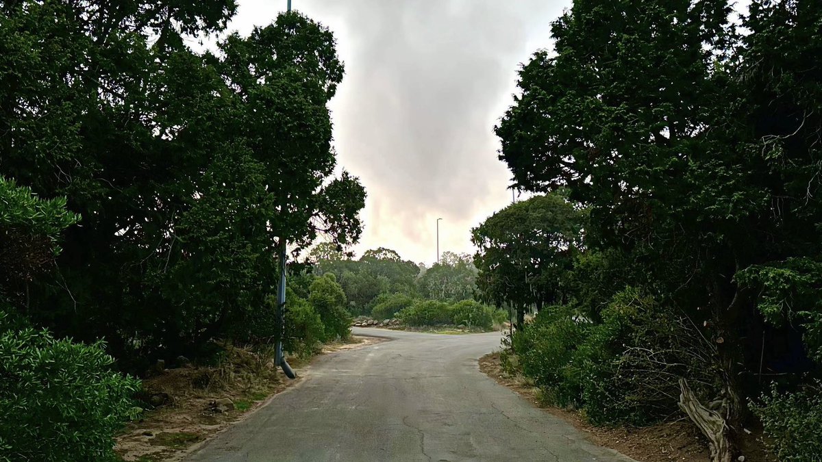 🌅 الباحة في الصباح