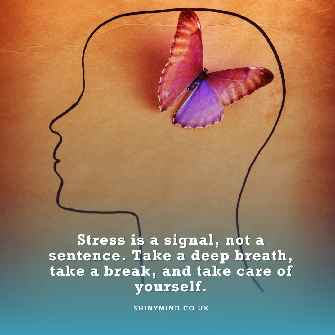 ShinyMind tweet media