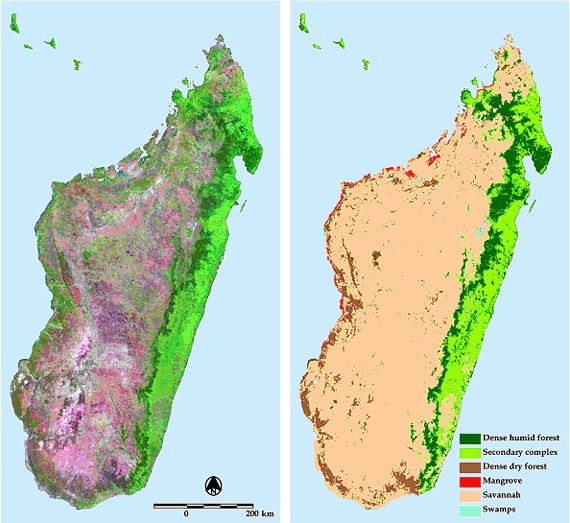Stonefishweirs's tweet photo. #Madagascar pangalanes canal build between 16th/19th century linking the coast & #tropicalforest withmajo r urban centres. 645 kilometres (400 mi) of lakes and canals are used for #fishing, #fishweir, transporting items such as #wood, #charcoal, dried fish and forest produce. 1/3 https://t.co/yM5E6Oy0co