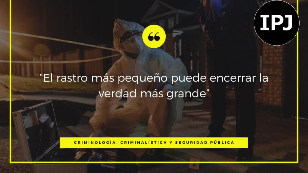 IPJ_Universidad
IPJ_Informa