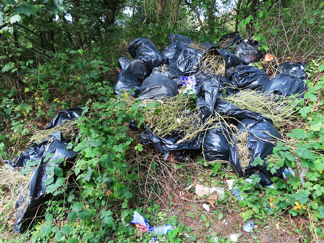 ilonameanqueen1's tweet photo. Litter everywhere. We have ugly fly tipping on the edge of our village. Dumping of can a bis plants in black bin bags. https://t.co/vVs2zaJ1SC