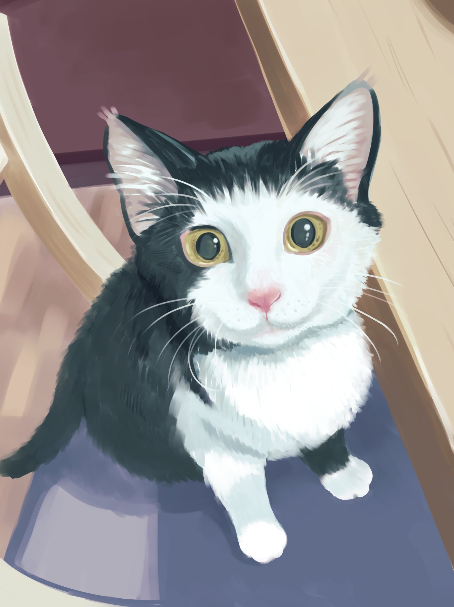 自分が思う最高の猫画 🐱にゃっ子🐱 on X: 