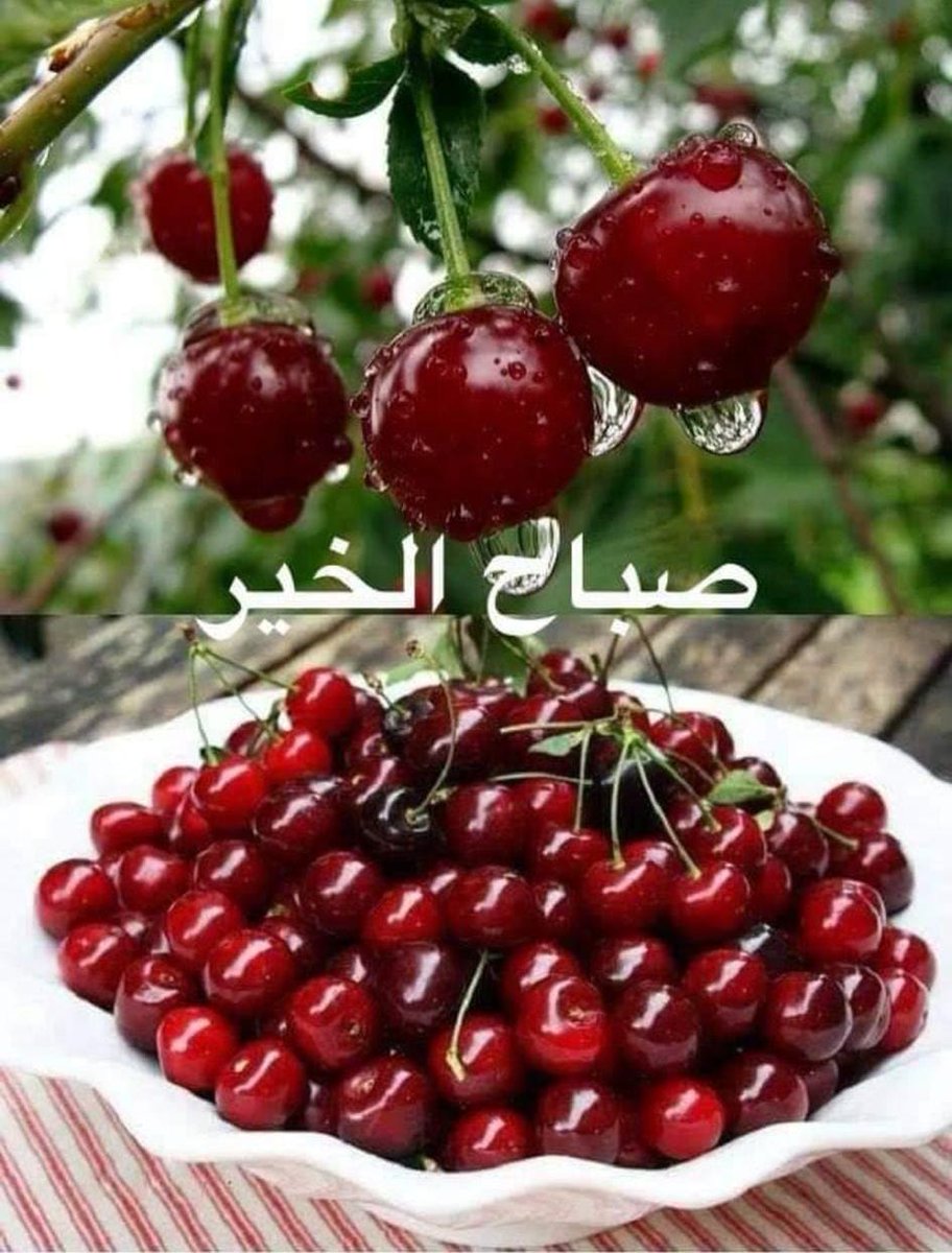 عبدالعزيز العلي (@b0eidb64ngydduk) on Twitter photo 