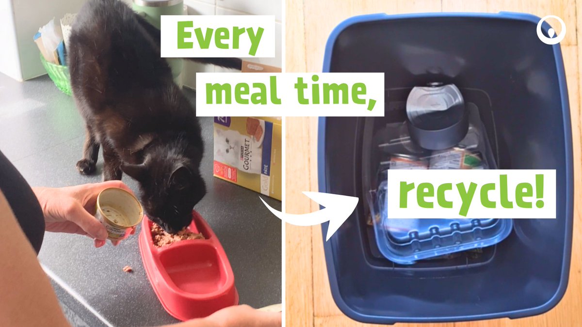 VeoliaUK's tweet image. Whether it is meal time for you or for your furry friend, don’t forget to rinse and recycle your tins.🥫

No matter the occasion, there are always items that can be recycled!

Make every week #RecycleWeek

Check what you can recycle at home on your local council&apos;s website!