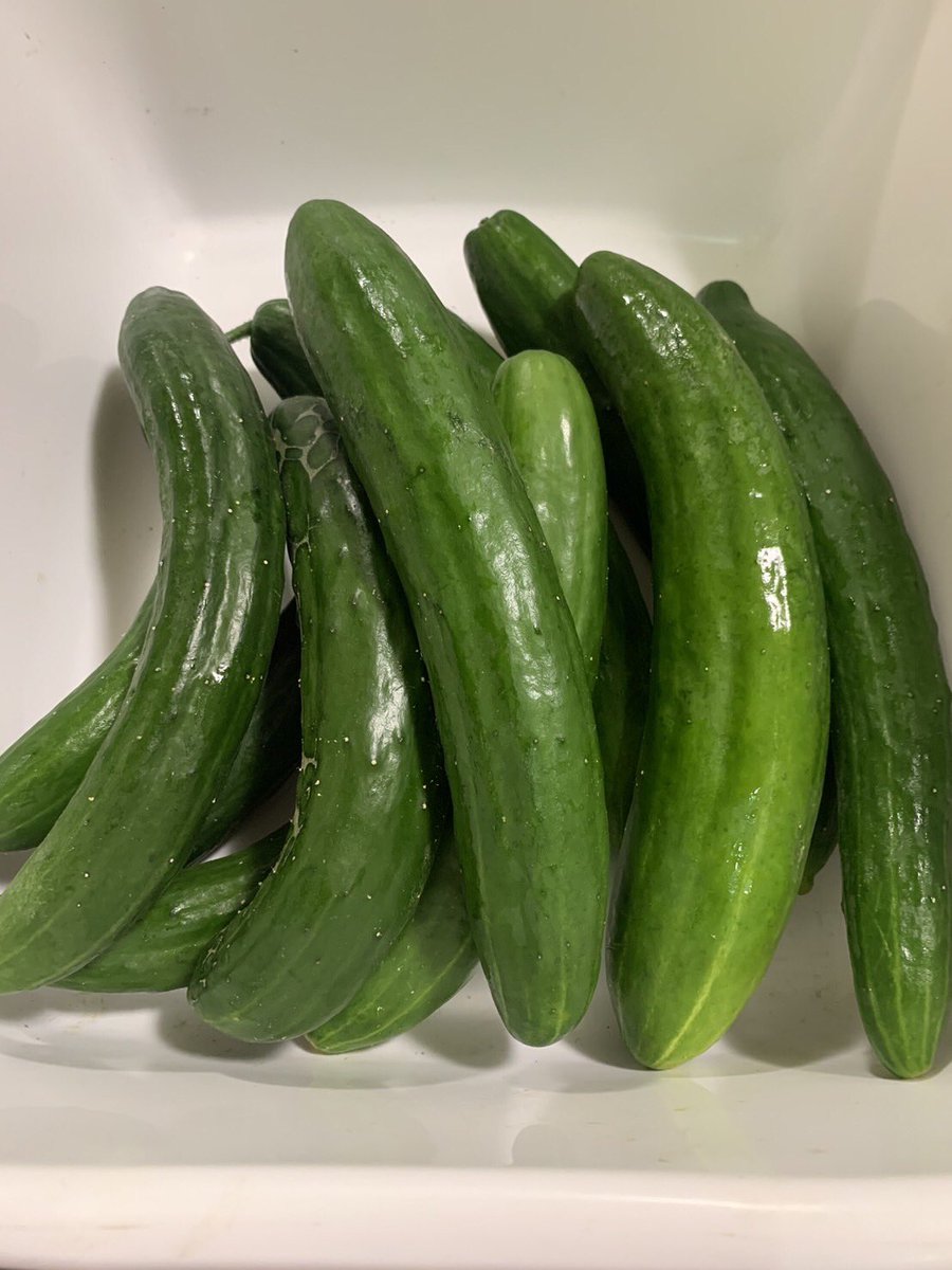 かっちです(´◡` )♩ かっち｜ (@3Telmin) / X