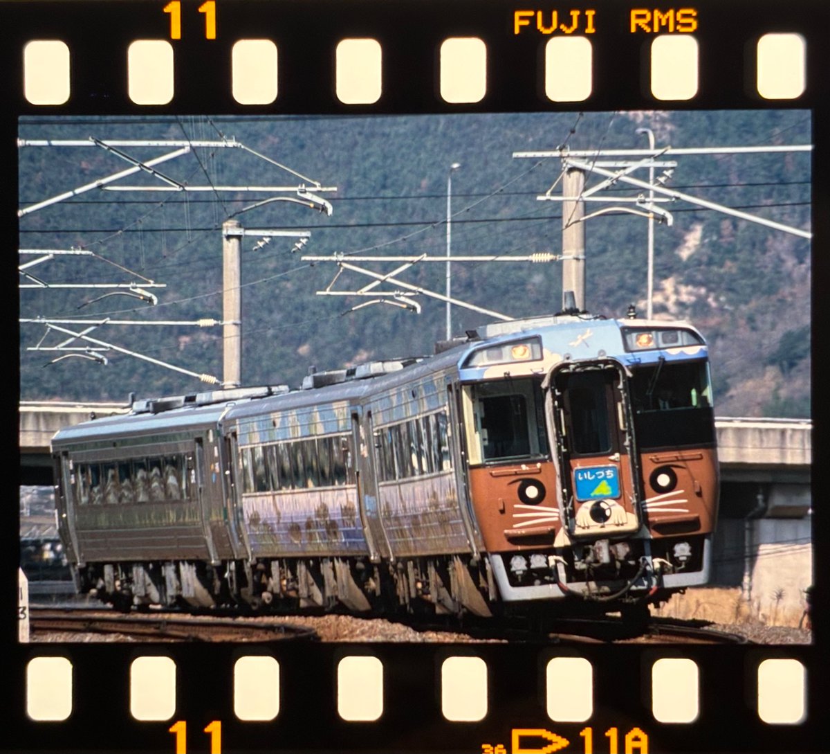 185系 - Search / X