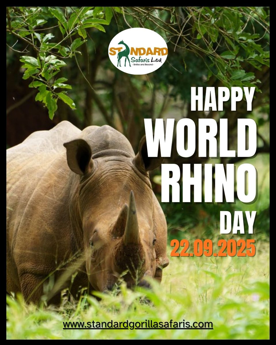 SafarisStandard's tweet image. Happy #Worldrhinoday2025