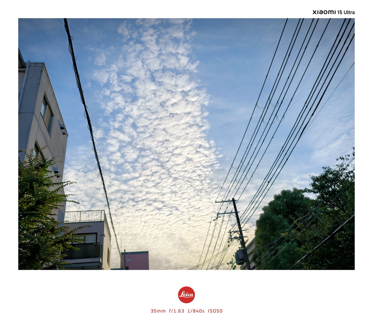 ライム٩(๑òωó๑)۶ o (@backflipout) / X