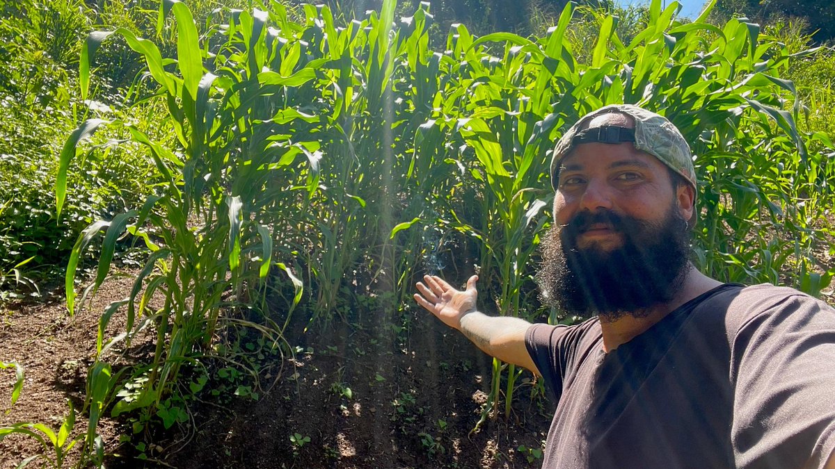 There are 3 days left for the QF @giveth cause round. Support the regenerative agriculture revolution with your donation. You can donate as little as $1, and if you donate $5, you can receive GIVbacks.🔽🔽🔽
giveth.io/cause/regenera…