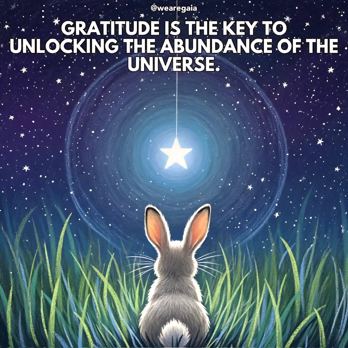 I am grateful. 🙏🏻