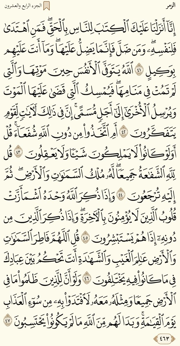 Shereef_Wagih79's tweet image. صباح الخير......ورد الاثنين