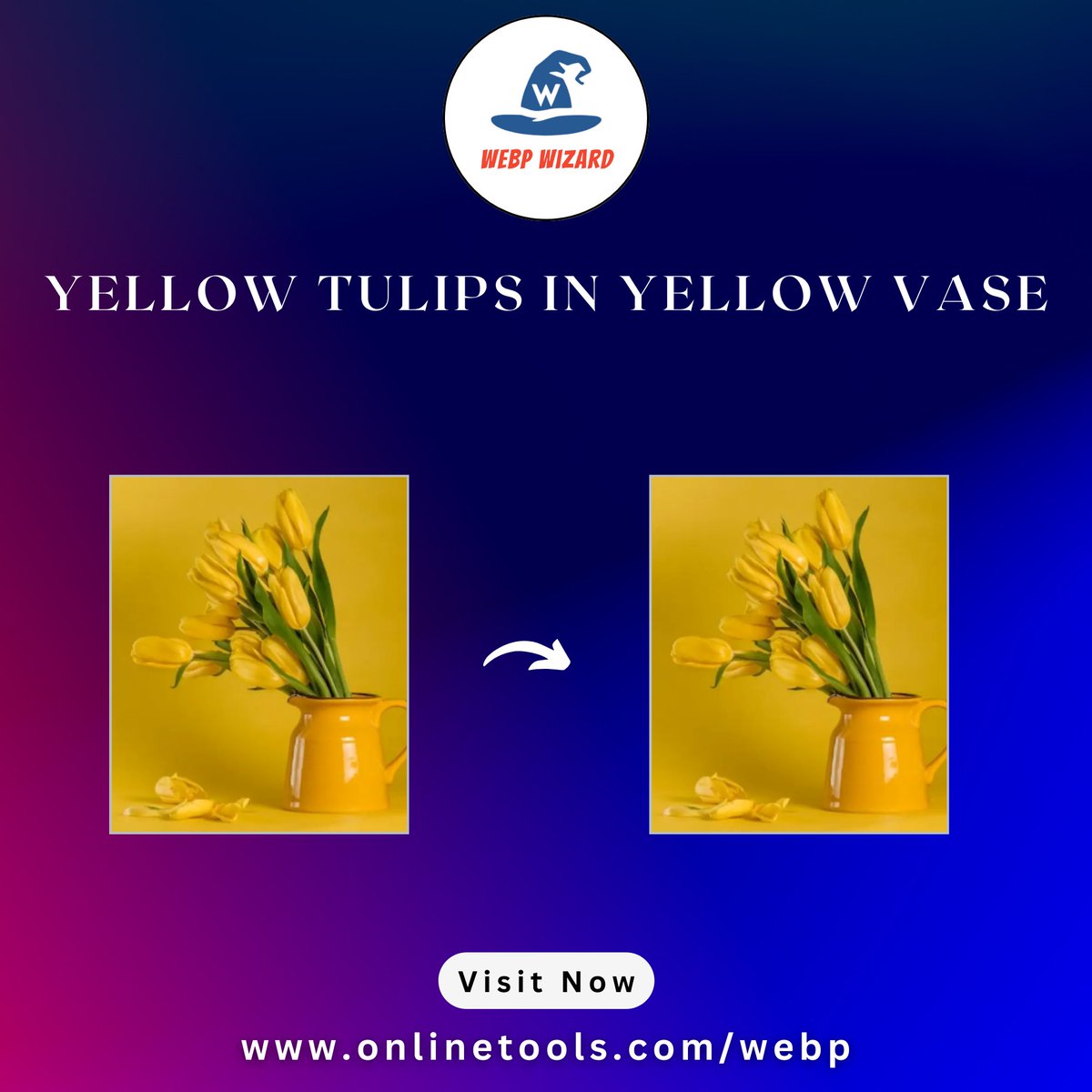 WebpWizard's tweet image. In this example, we convert a bright WebP photo featuring yellow tulips in a yellow vase to the PNG format.
Try our Tool: onlinetools.com/webp/convert-w…
#browserling #webptopng #imageconversion #onlineconverter #filetools #digitalworkflow #graphicdesigntools #techhacks