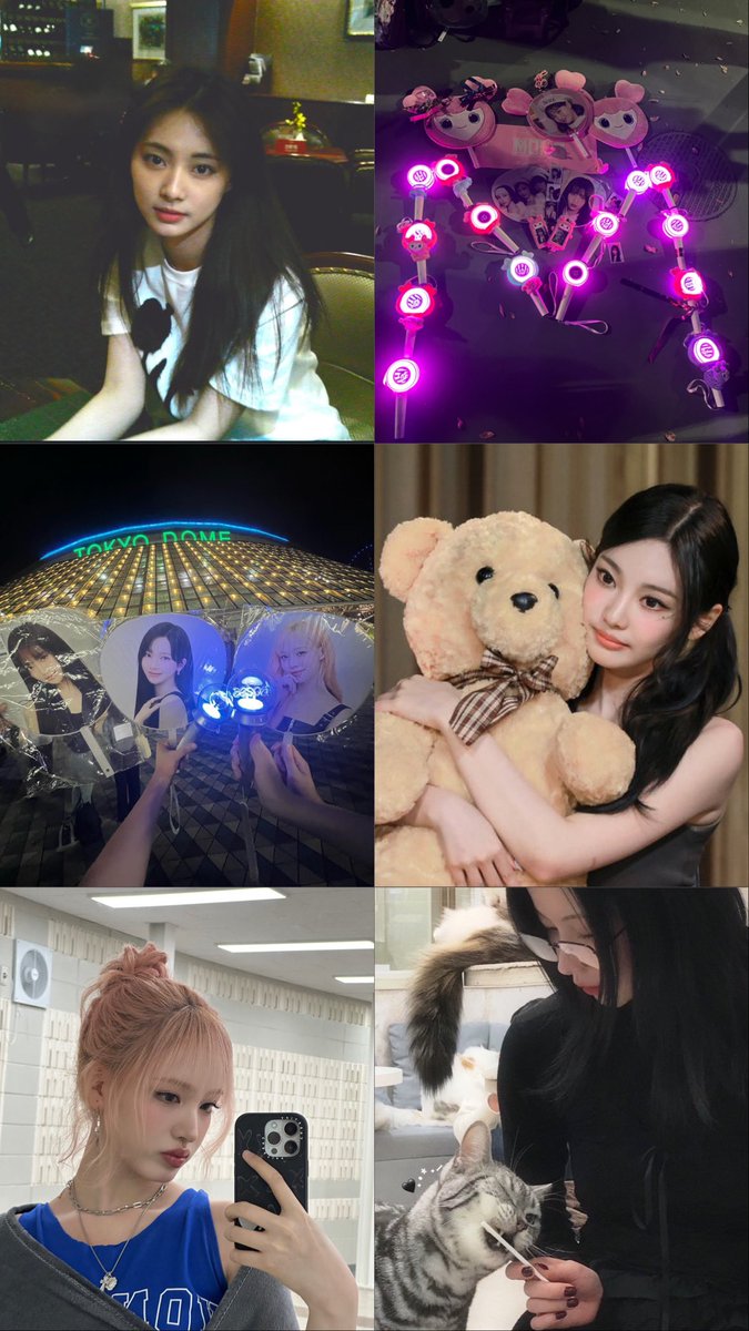 유우🦋 tweet media