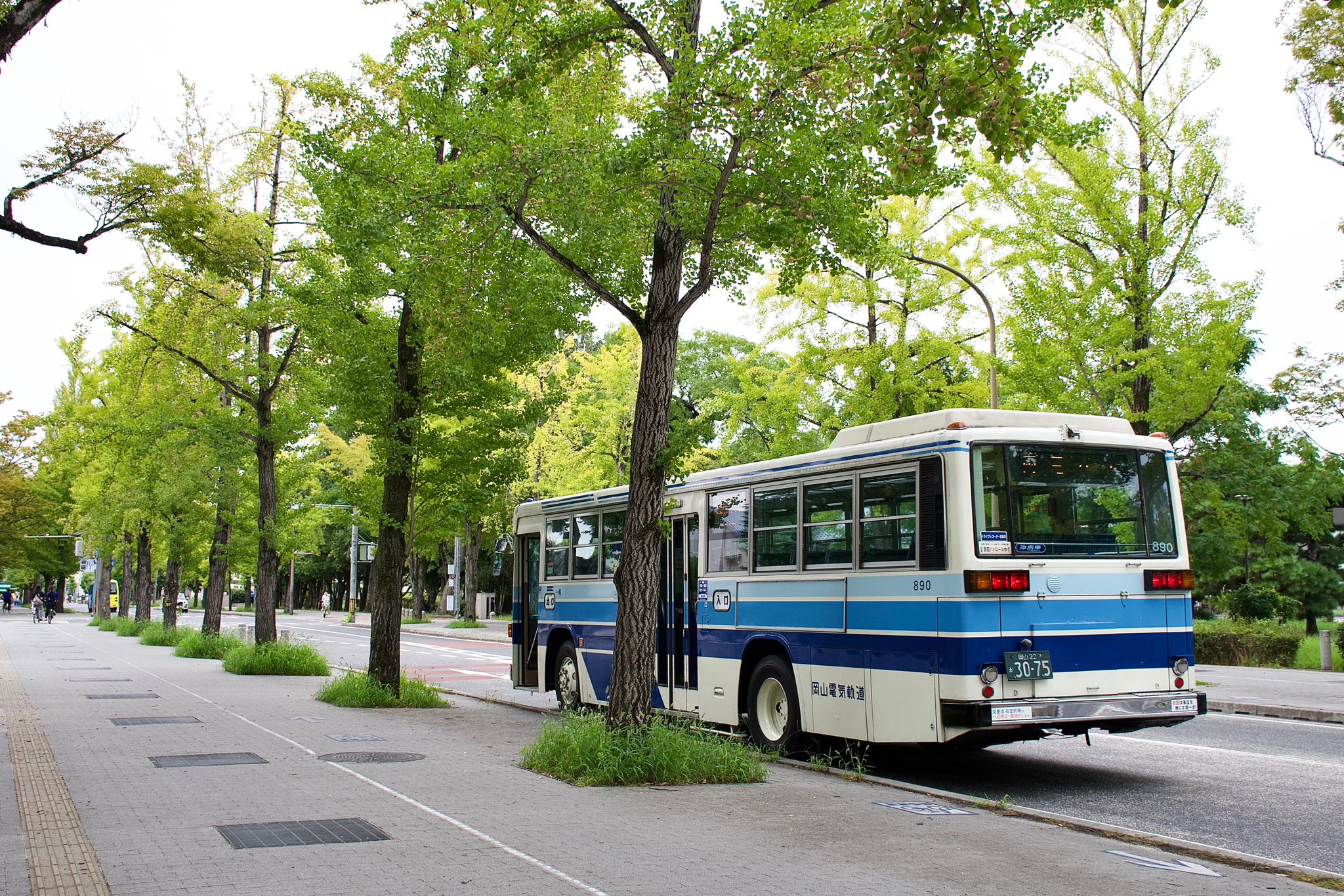 岡橋 JR九州 国鉄8620形蒸気機関車 SL人吉 58654 人吉駅 鉄道フォト