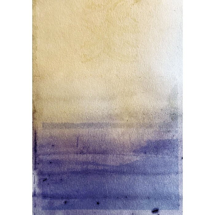 alternativephot's tweet image. 🌿 You can make anthotypes from Mushrooms! Take part until 25th Oct!

➥Milk cap mushroom by Katarzyna Lesniewska
➥Columbine by Ambjörn Jansson
➥Mexican logwood by Alex Whiteside
➥Mix of Butterfly pea and turmeric by Émilie Léger

👉 alternativephotography.com/world-anthotyp…

#anthotypes