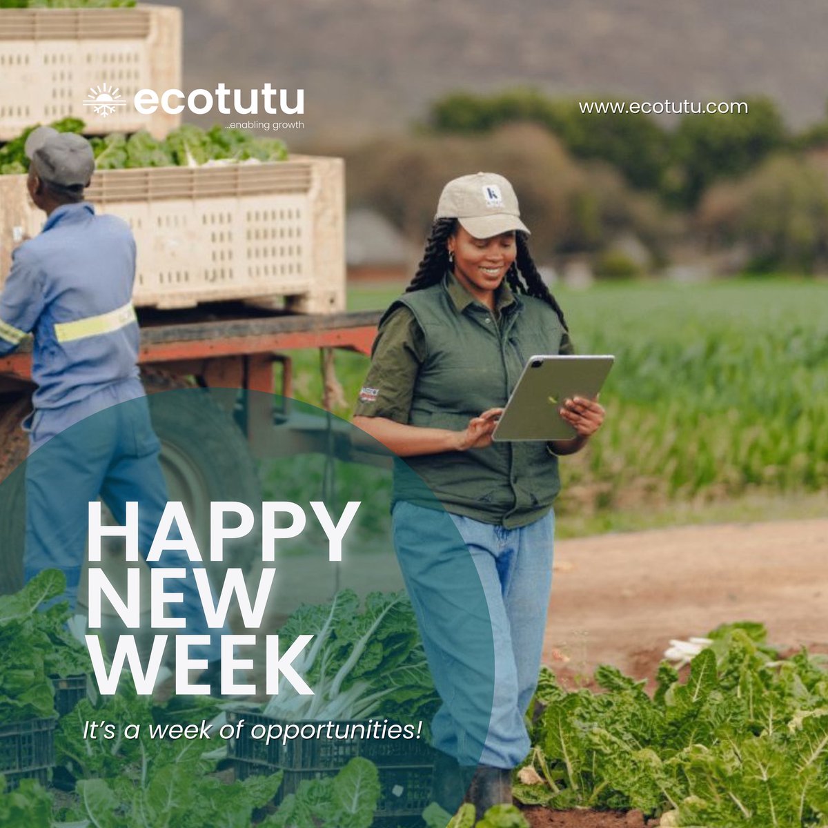 Happy New Week! ✨

At Ecotutu, every week is an opportunity to grow, connect, and keep your produce fresh.🥳

Let’s make this week count, DM us or visit ecotutu.com to get started.

#Ecotutu #HappyNewWeek #ColdStorageSolutions