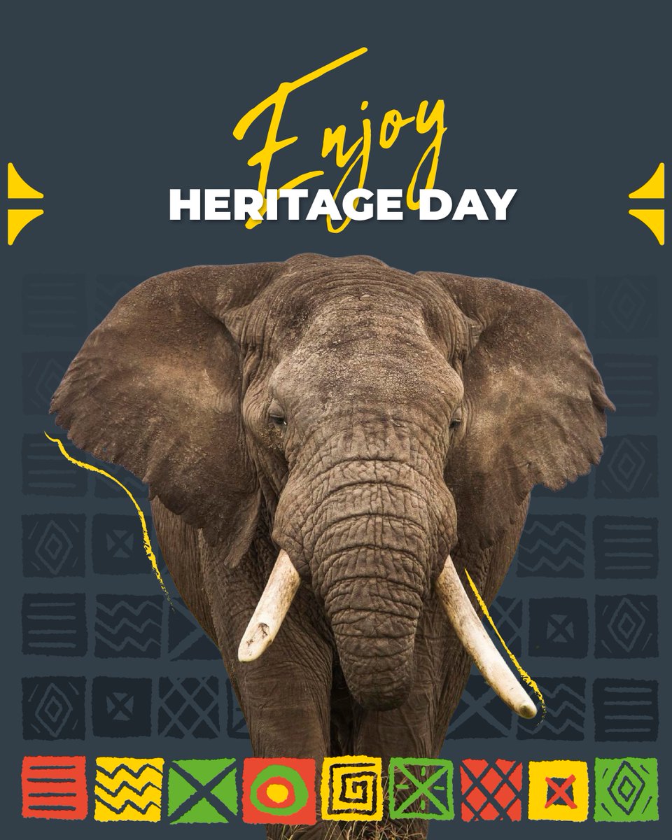 MidCity Group tweet media