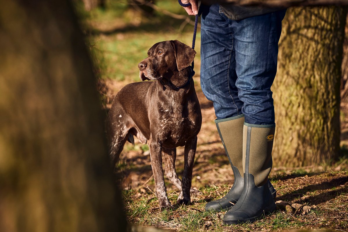 Our Frostline Green are perfect for your early morning walks! 🐕